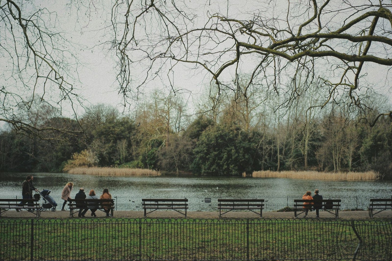 People on benches beside a lake in a winter park