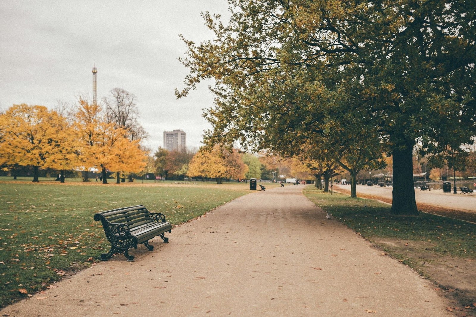 Tree-lined path with a bench through a park in autumn