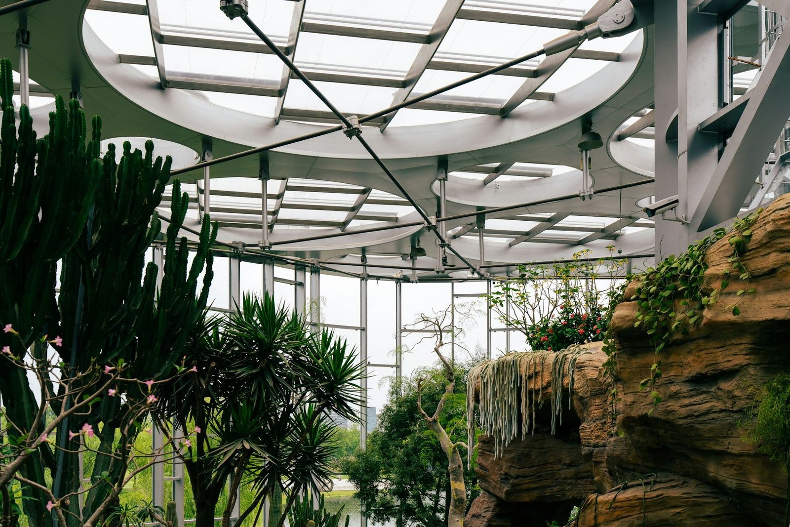 Glass-roofed indoor garden with palms and cacti