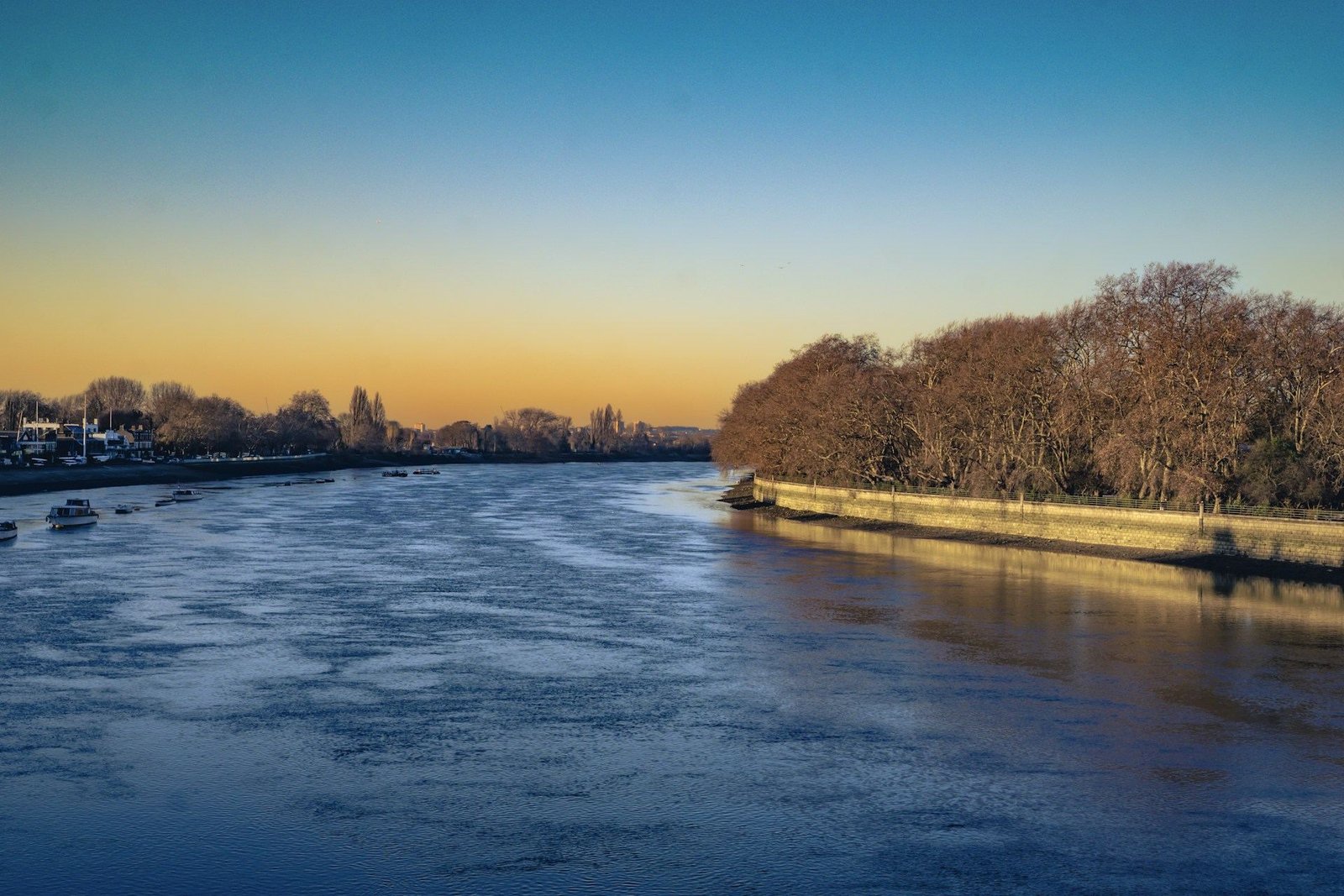River Thames at dusk with trees along the bank