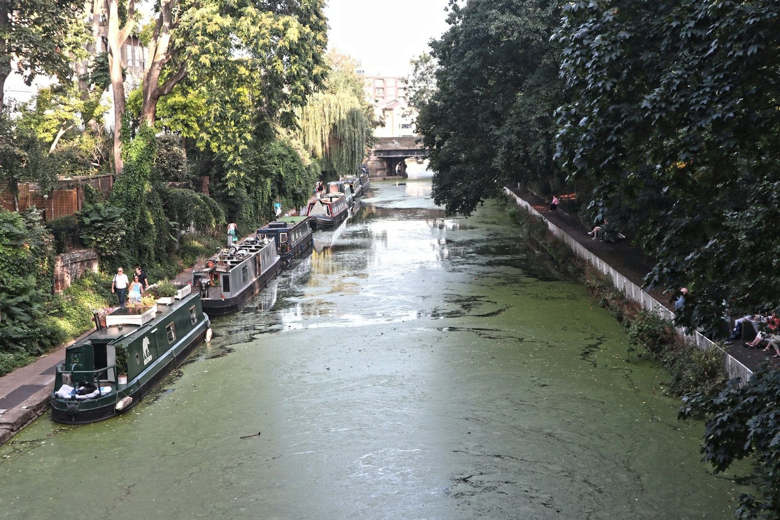 Narrowboats moored along a tree-lined canal