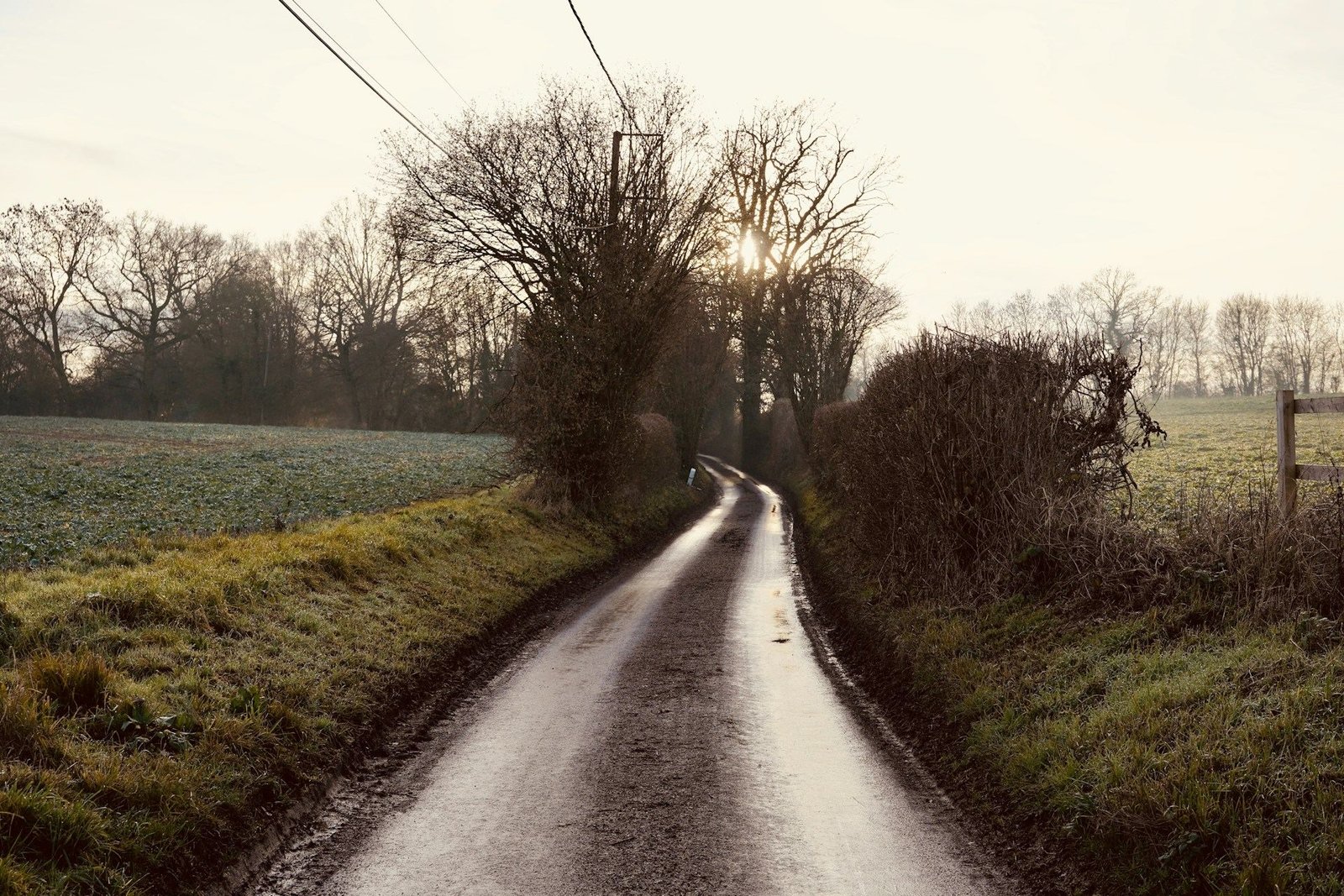 Narrow country lane between hedges in winter