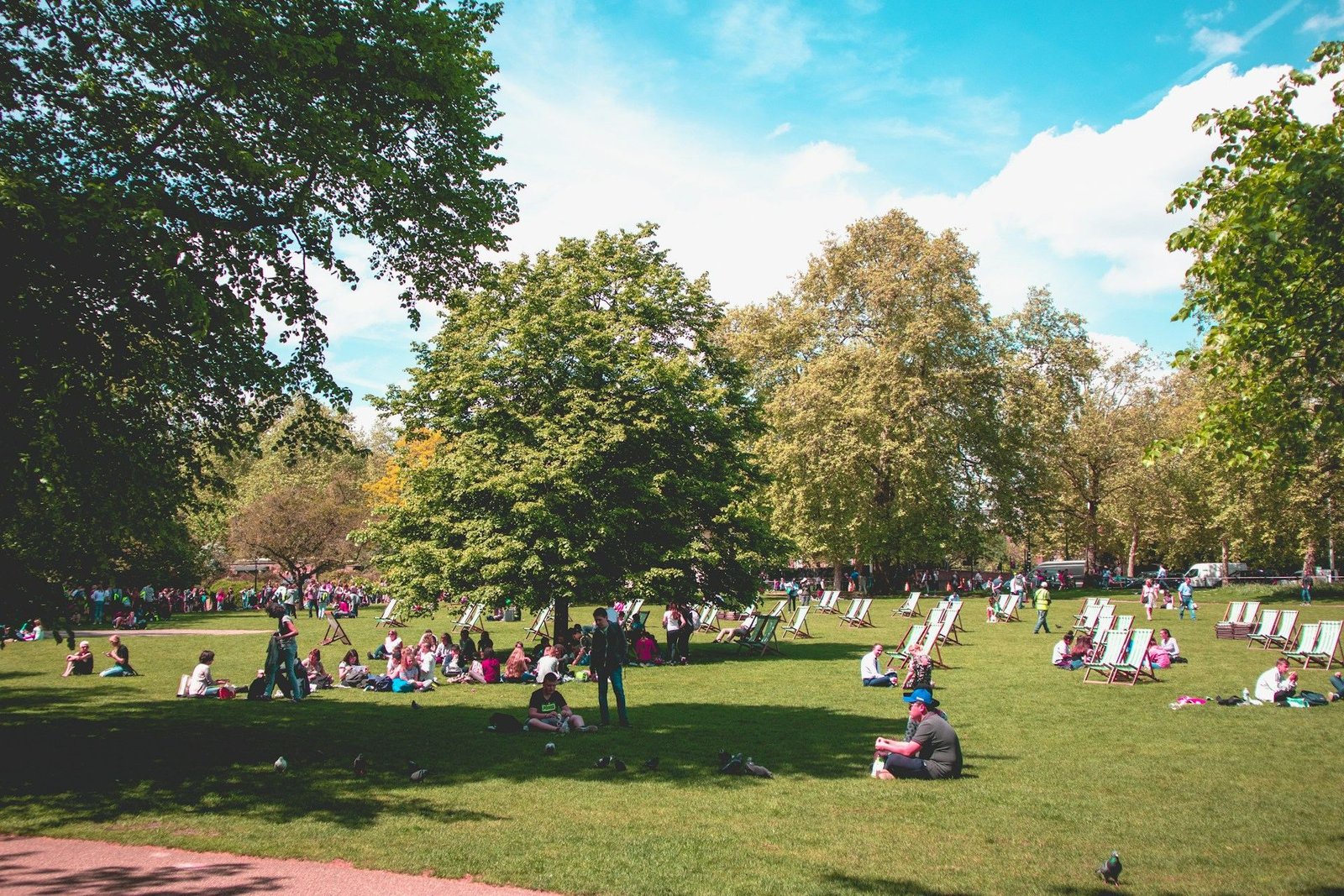 People relaxing on deckchairs in Regent’s Park