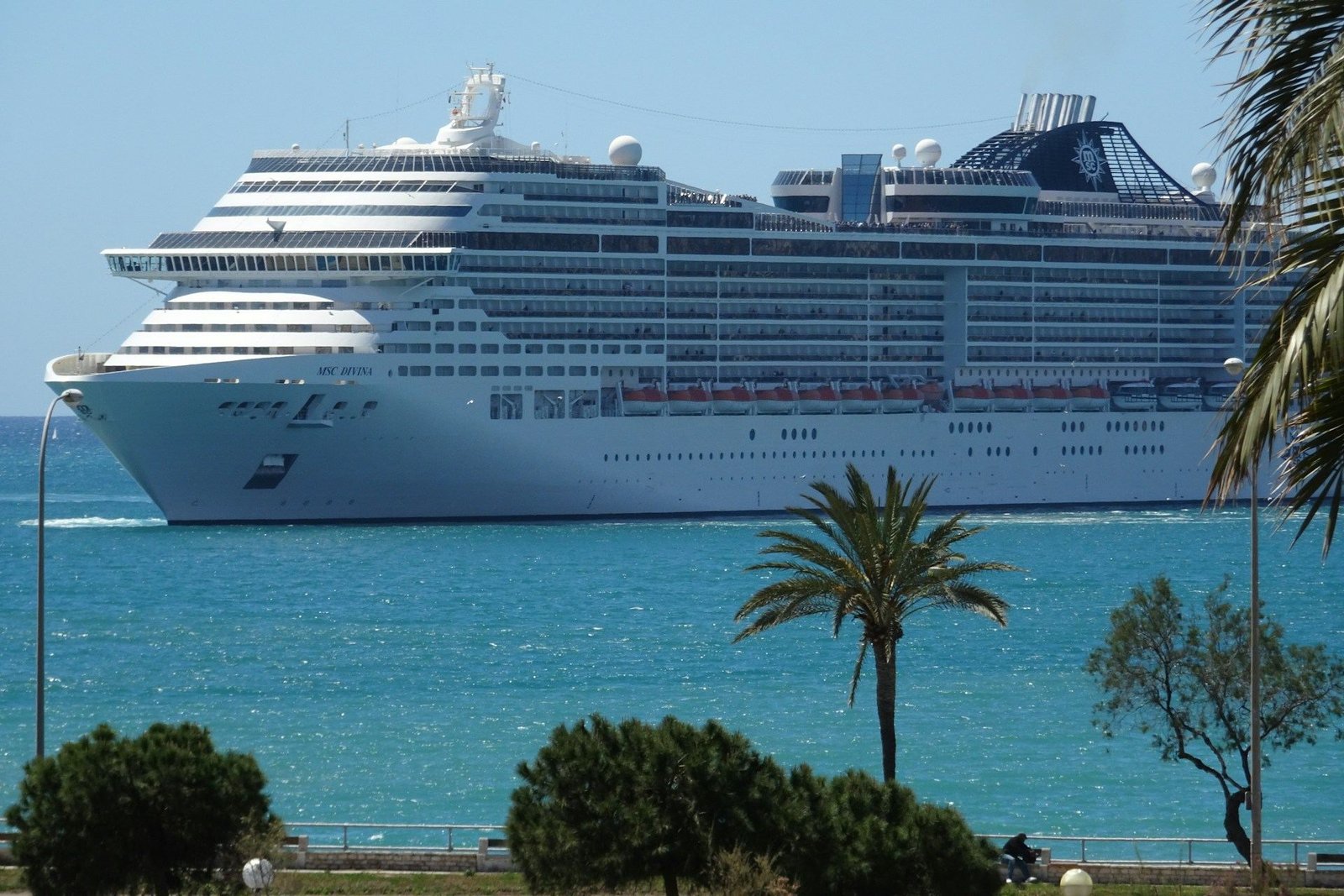 Large white cruise ship at sea beside a palm-lined shore