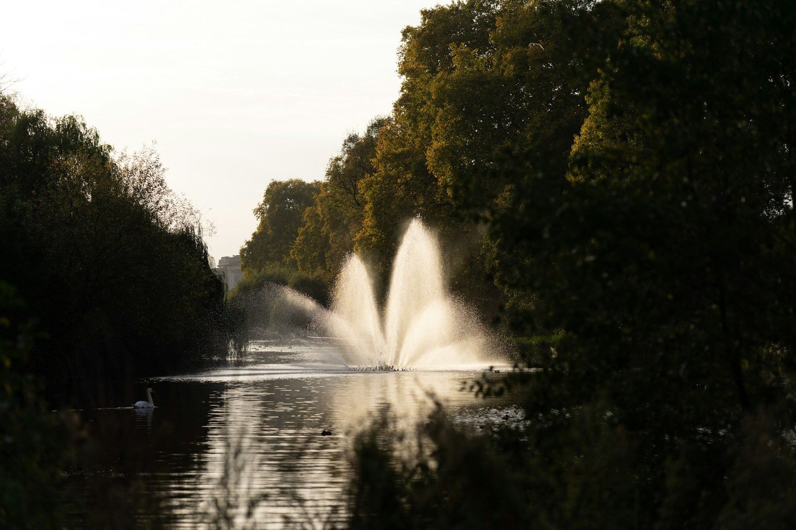 Fountain on the lake in St James’s Park